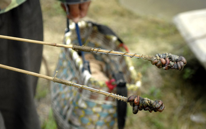 黄鳝钩